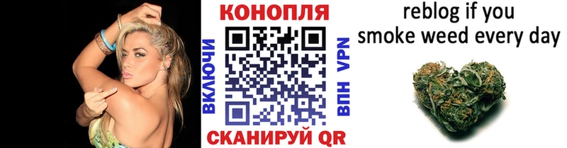 Купить закладку ГАШ  Alpha-PVP  КОКАИН  Меф мяу мяу  Канабис  Сосенский