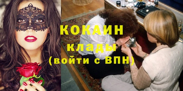 прущие грибы Тихвин