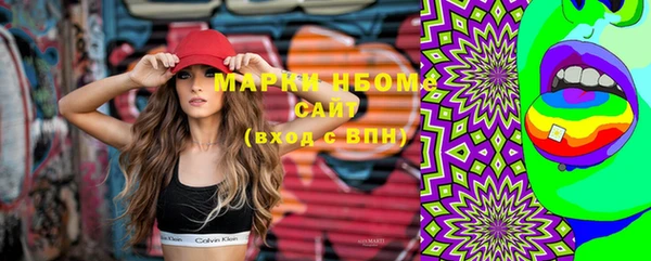 прущие грибы Тихвин